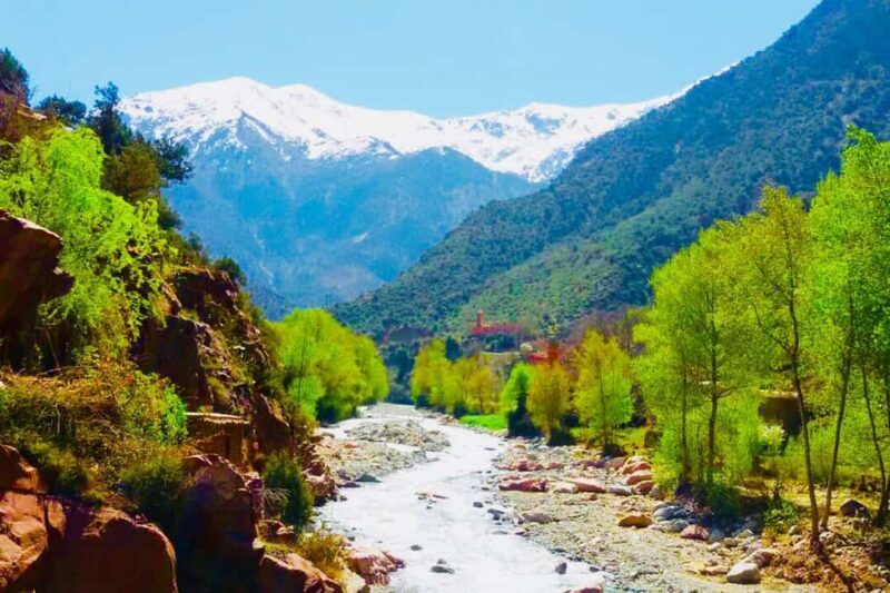 Day trip to Ourika valley lunch + guid + activité included - A Closer Look at the Itinerary and Experiences