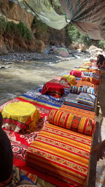 Day trip to Ourika valley lunch + guid + activité included - Who Should Consider This Tour?