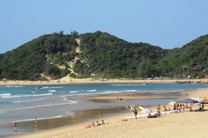Day Trip to Ponta de Ouro Beach /Dolphin Swim+Snorkel+Whale Watch - An In-Depth Look at the Experience