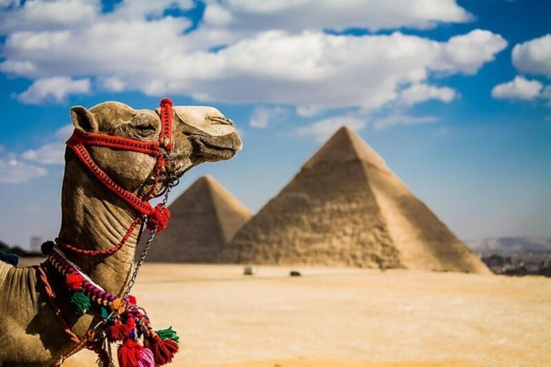 Day Trip to Pyramids & Museum from Ain Sokhna Port - Key Points