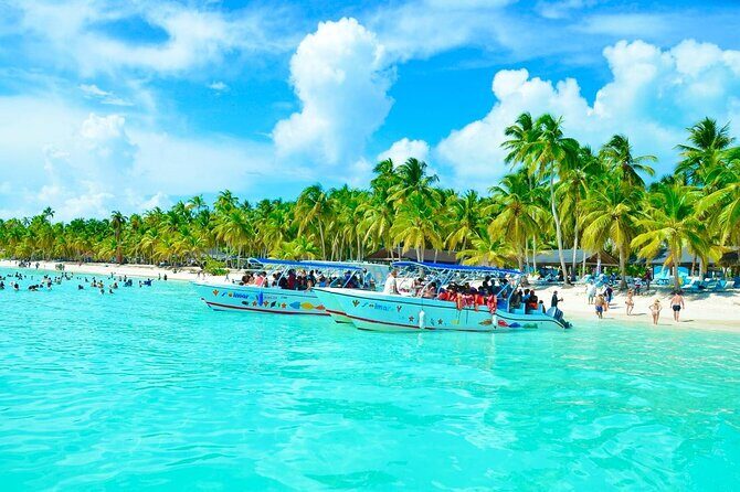 Day Trip to Saona Island with Lunch and Open Bar - Introduction: Exploring Saona Island—A Caribbean Daydream