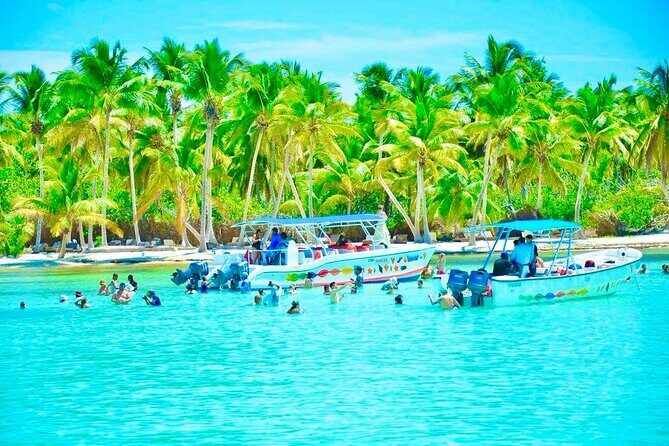 Day Trip to Saona Island with Lunch and Open Bar - Key Points