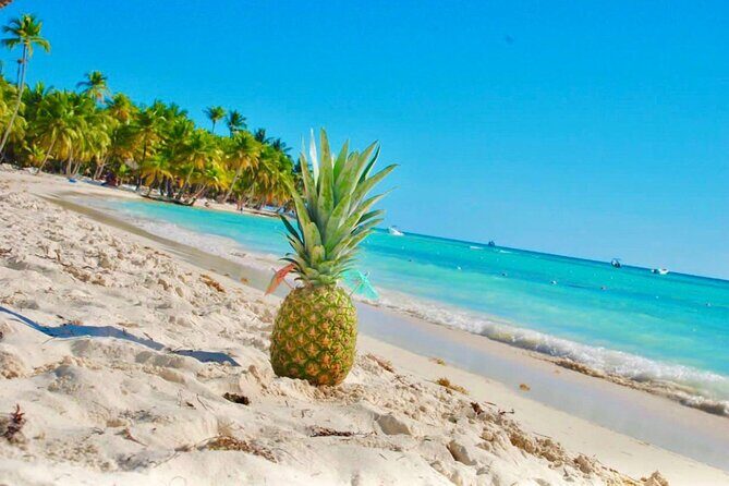 Day Trip to Saona Island with Lunch and Open Bar - FAQs