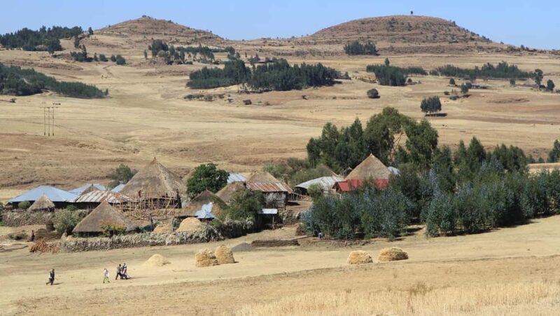 Day Trip To See Monastrys,Amazing landscapes & Animals - A Deep Dive into the Experience