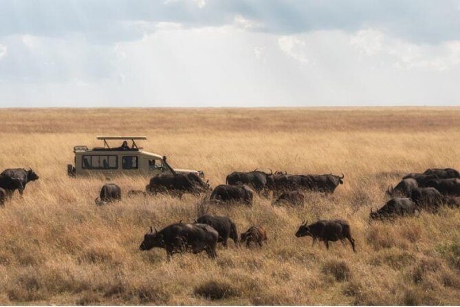 Day Trip to Selous National Park from Zanzibar or Dar es salaam - The Sum Up