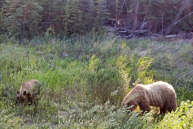 Day-Trip To Skagway - Gateway to the Klondike Goldrush - Who Will Love This Tour?