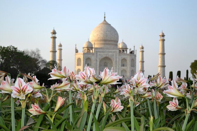 Day trip to Taj Mahal and Agra from Kochi with Return Flights - Key Points