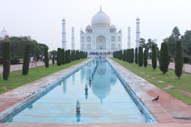 Day Trip to Taj Mahal from Delhi by Private Car - What Travelers Say: Authentic Perspectives