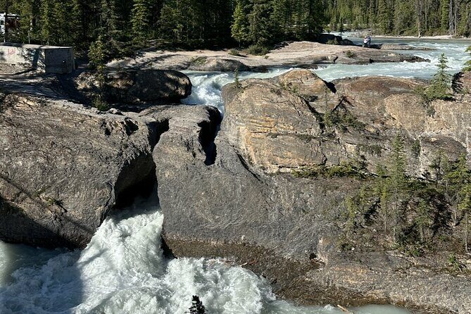 Day Trip to Takakkaw Falls Emerald Lake Natural Bridge Banff - Who Is This Tour Best For?