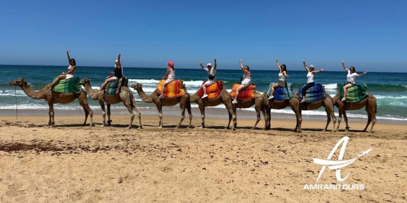 Day trip to Tangier Morocco from Malaga All inclusive - Authenticity and Traveler Feedback