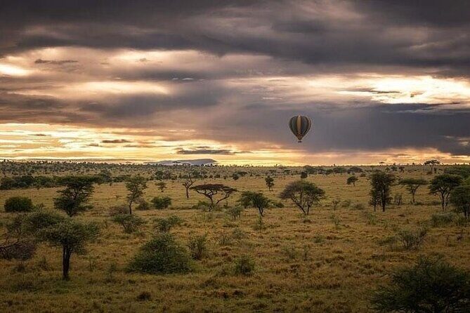 Day Trip To Tarangire National Park - An Authentic Safari Experience from Arusha
