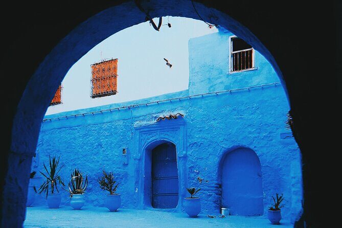 Day Trip To The Blue City & Akchour Waterfalls - A Closer Look at the Tour Experience
