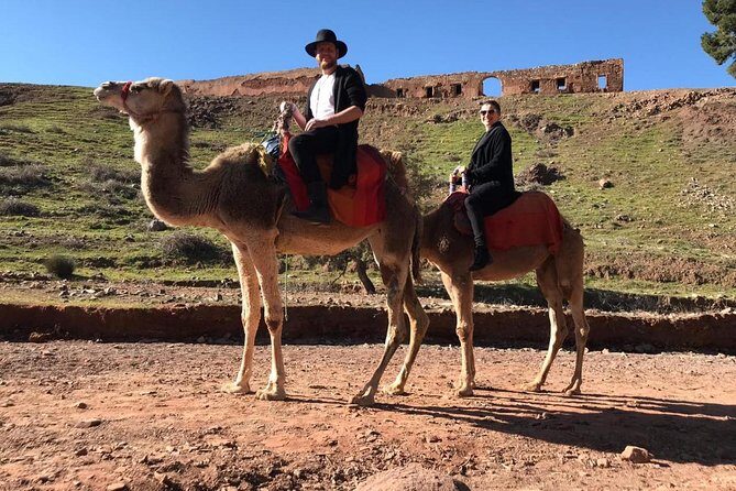 Day Trip to the High Atlas & camel ride - Key Points