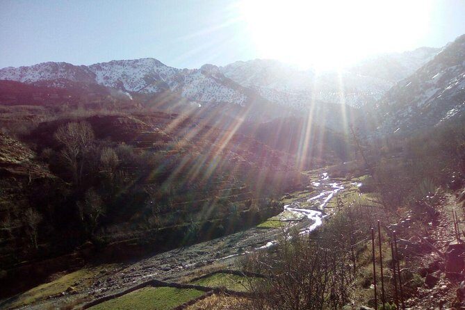 Day Trip to the High Atlas & camel ride - The Sum Up: Who Should Book This Tour?