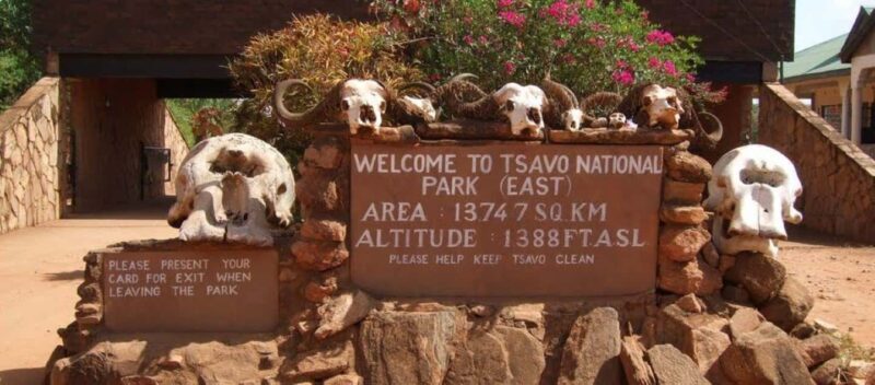 DAY TRIP TO TSAVO EAST PARK FROM MOMBASA/DIANI/MALINDI - Key Points