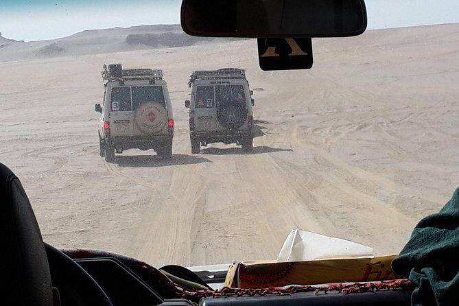 Day Trip to Valley of Whales from Cairo - Wadi El Hitan - Exploring the Itinerary in Detail