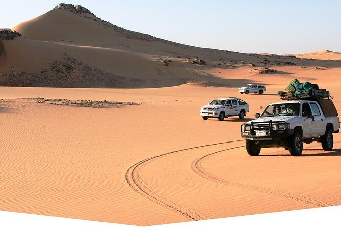 Day Trip to Valley of Whales from Cairo - Wadi El Hitan - An Honest Look at the Value