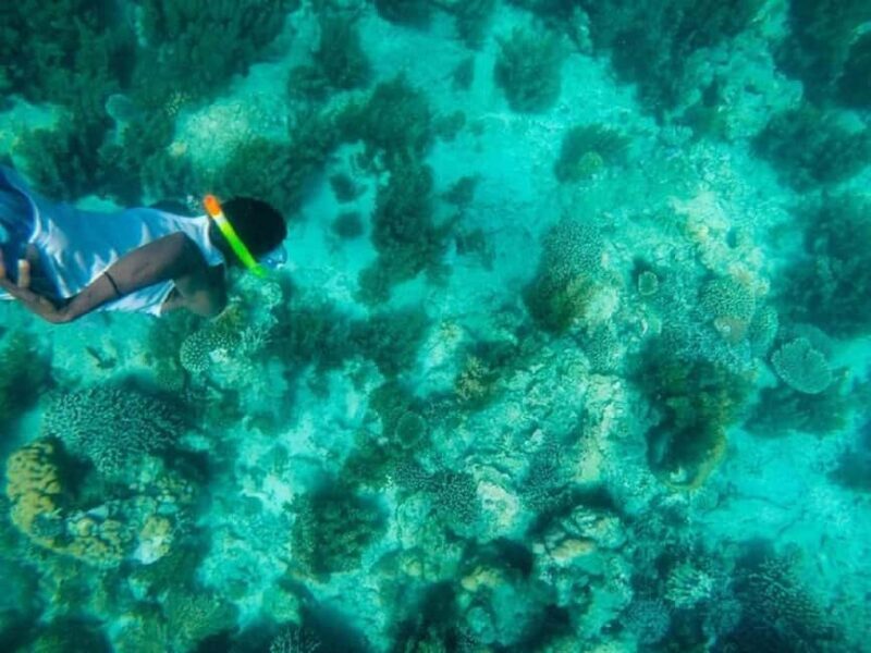 Day trip to Wasini islands from Diani - The Experience’s Worth and Limitations