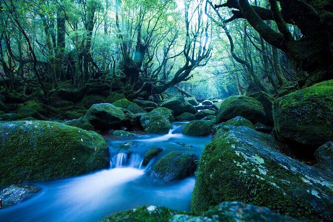 Day Trip to Yakushima by High Speed Jetfoil Toppy from Kagoshima - The Journey Begins: From Kagoshima to Yakushima