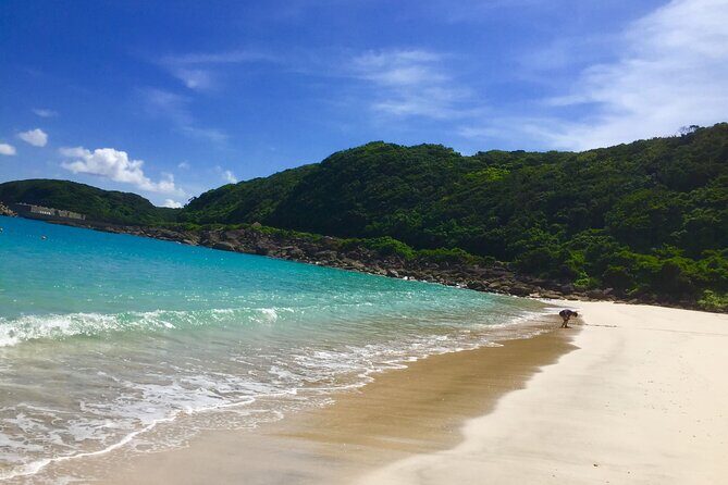 Day Trip to Yakushima by High Speed Jetfoil Toppy from Kagoshima - The Sum Up