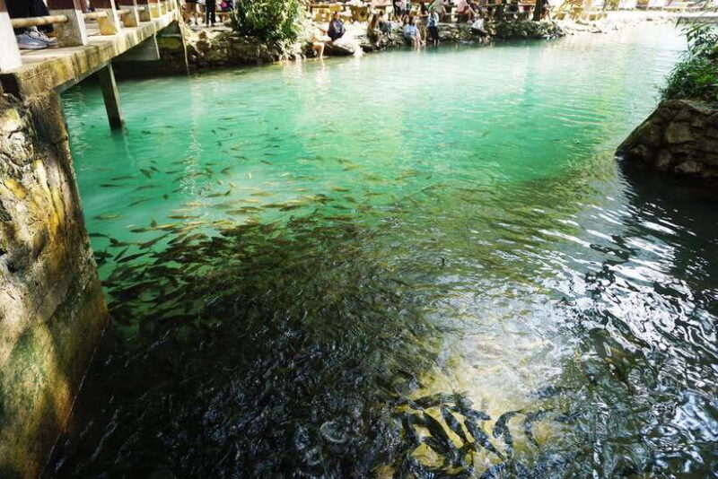 Day Trip Vientiane - VangVieng by Express Train - The Sum Up