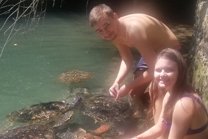 Day Trip Zanzibar: Snorkeling Dolphin Aquarium Turtles and Sunset - What’s Included and What to Keep in Mind