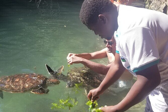 Day Trip Zanzibar: Snorkeling Dolphin Aquarium Turtles and Sunset - Final Thoughts