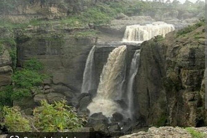Day Trips from Addis Ababa See Monastery, Nature, Animals, Birds - Frequently Asked Questions