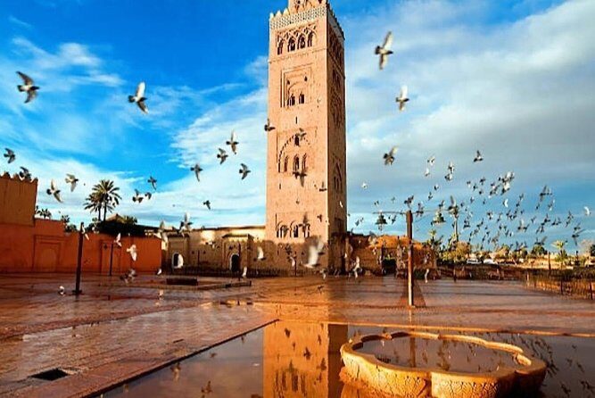 Day Trips from Agadir to Marrakech with Amazing guide - Who Will Benefit Most from This Tour?