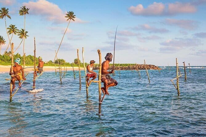 Day trips to Galle from colombo Visiting Its Highlights - Key Points