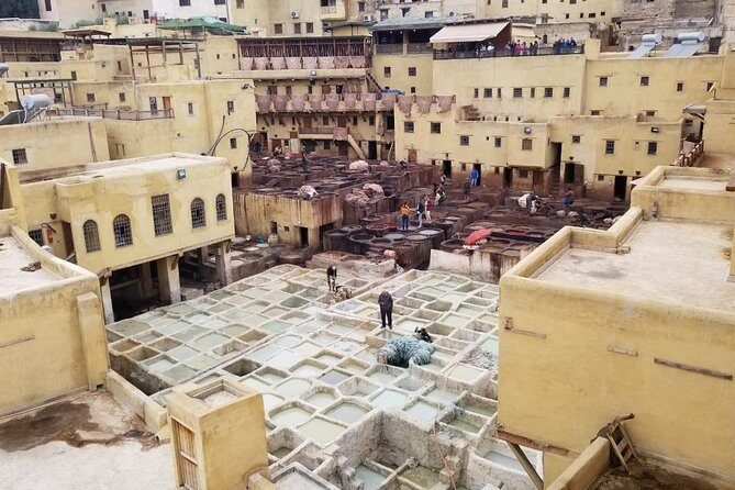 Day visit guided in fez - Final Thoughts: Is This Tour Right for You?