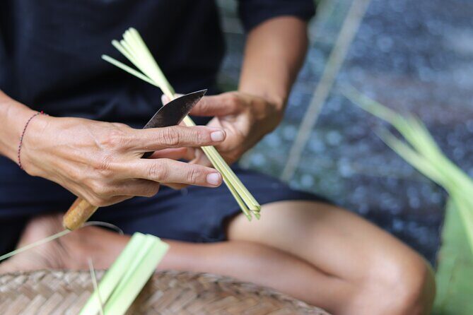 Day with a Balinese Family in a Village - Key Points