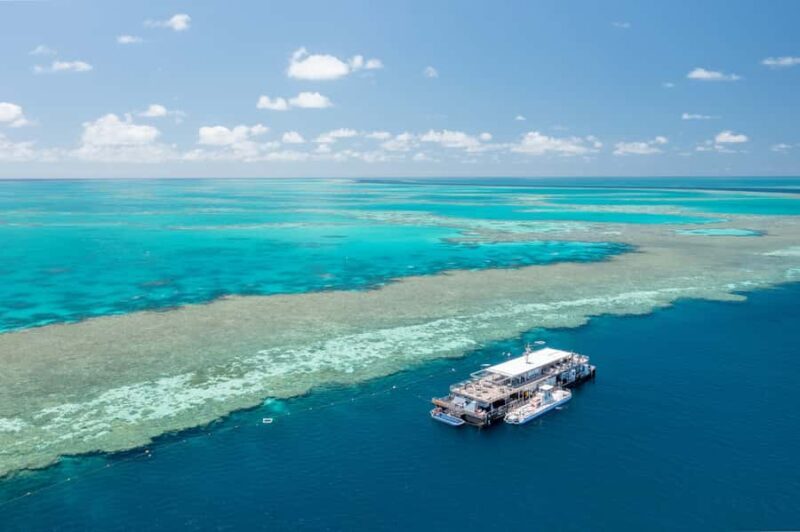 Daydream Island: Great Barrier Reef Adventure Cruise - Key Points