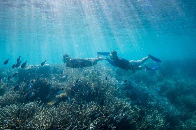 Daydream Island: Great Barrier Reef Adventure Cruise - Final Word