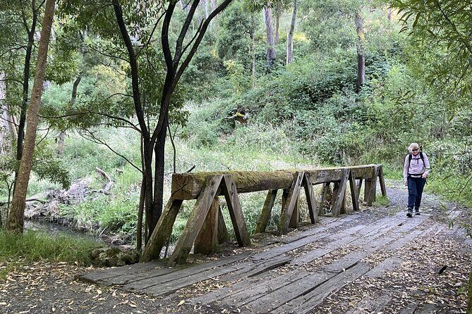 Daylesford Goldfields Track Walking and Wellness Experience - Key Points