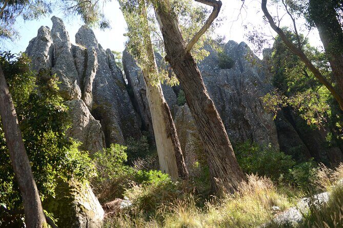 Daylesford Goldfields Track Walking and Wellness Experience - The Practical Side: What to Expect