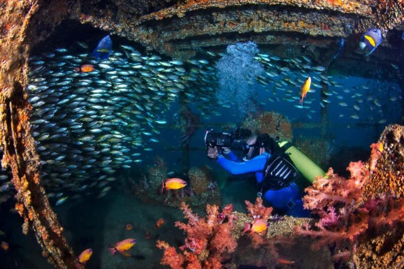 Daymaniyat Diving Trip - A Closer Look at What to Expect