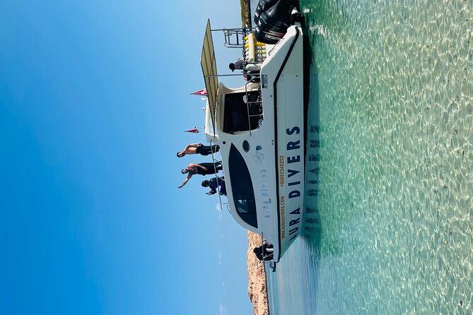 Daymaniyat Islands Snorkeling 2 different snorkeling sites and Lunch included - An In-Depth Look at the Tour Experience