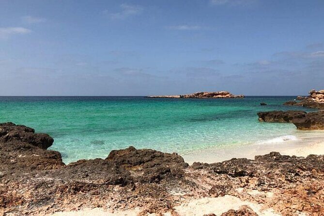 Daymaniyat Islands Snorkeling Half-Day Tour - The Itinerary: What You Can Expect