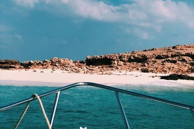 Daymaniyat Islands Snorkeling Half-Day Tour - Final thoughts: Who is this tour for?