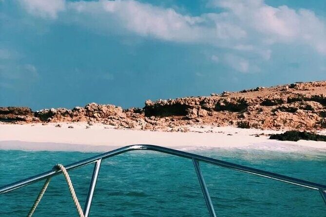Daymaniyat Islands Snorkeling Half-Day Tour - FAQs