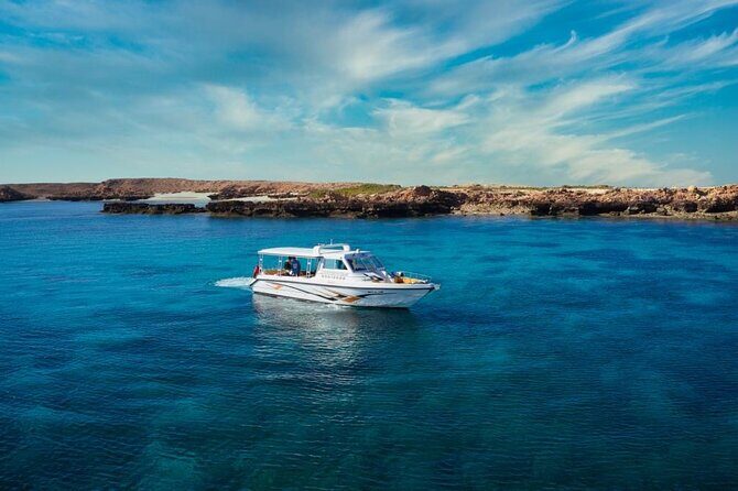 Daymaniyat Islands Snorkeling Sharing Trip - FAQ