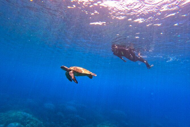 Daymaniyat Islands Snorkeling Sharing Trip - Final Thoughts