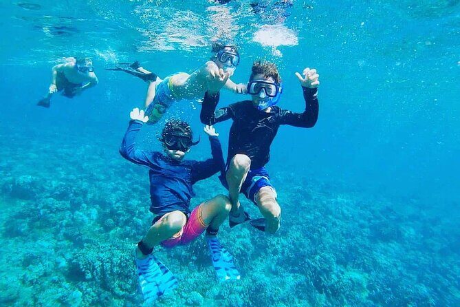 Daymaniyat Islands Snorkeling Tour - Who Will Love This Tour?