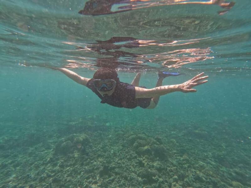 Daymaniyat islands: Visiting and snorkeling in Daymaniyat... - The Sum Up: Who Will Appreciate This Tour?