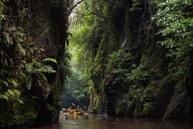 Daytime Canyon Kayak Tour - Exploring the Daytime Canyon Kayak Tour in Rotorua