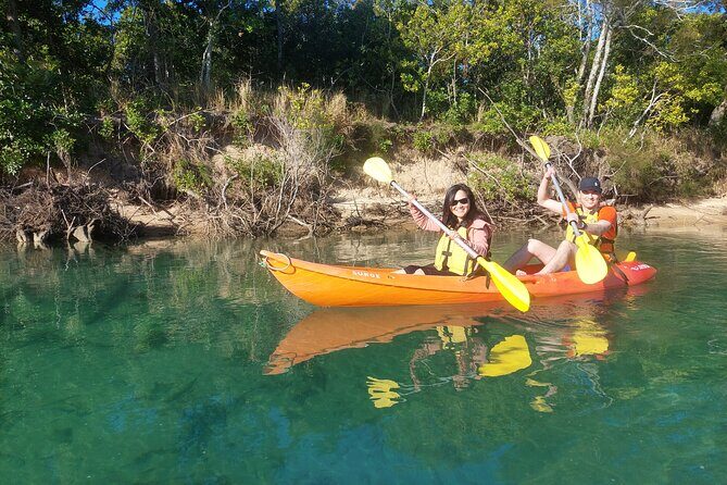 Daytime Kayak Eco Tour of New South Wales - Who Should Consider This Tour?