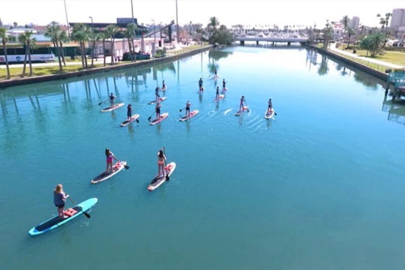 Daytona Beach: Guided Kayaking or Standup Paddling Tour - The Experience in Practice