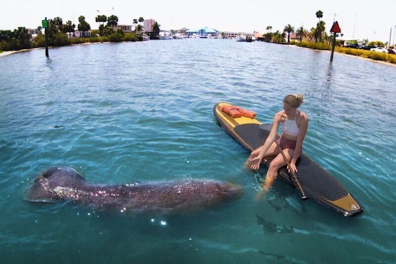 Daytona Beach: Guided Kayaking or Standup Paddling Tour - Value and Overall Impression