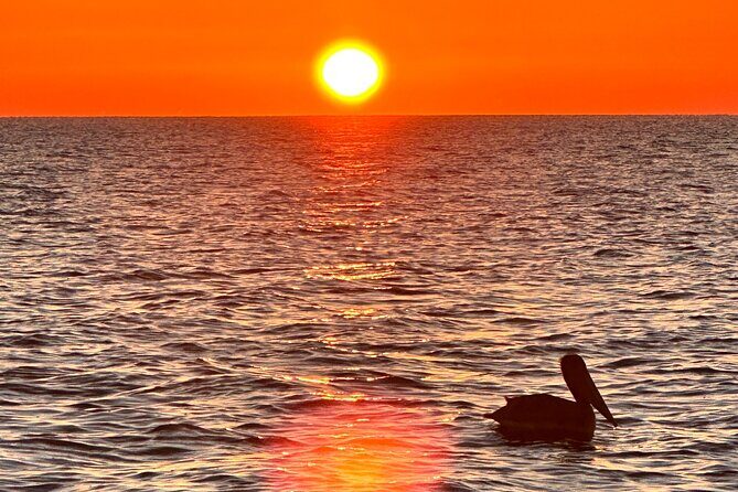 Daytona Beach: Sunrise Cruise on the Atlantic Ocean - An In-Depth Look at the Sunrise Cruise Experience